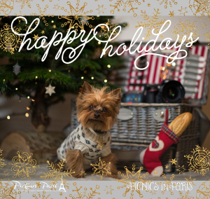 Happy-Holidays-from-Pictours-Paris-2014