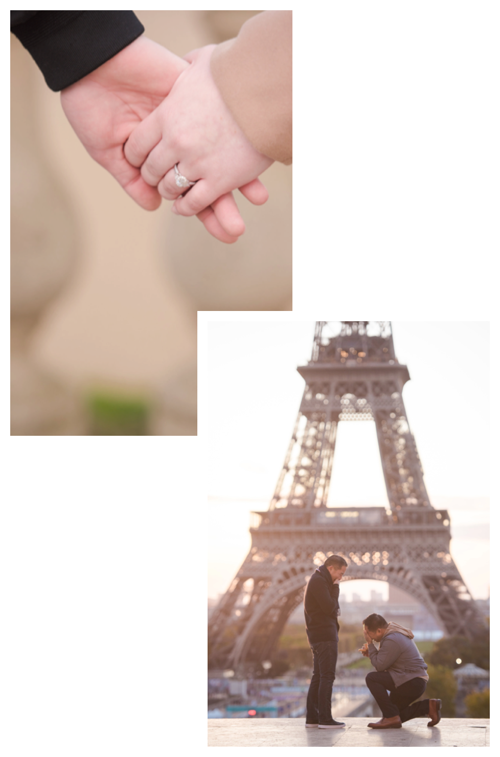 Paris Proposal Photos - How It Works