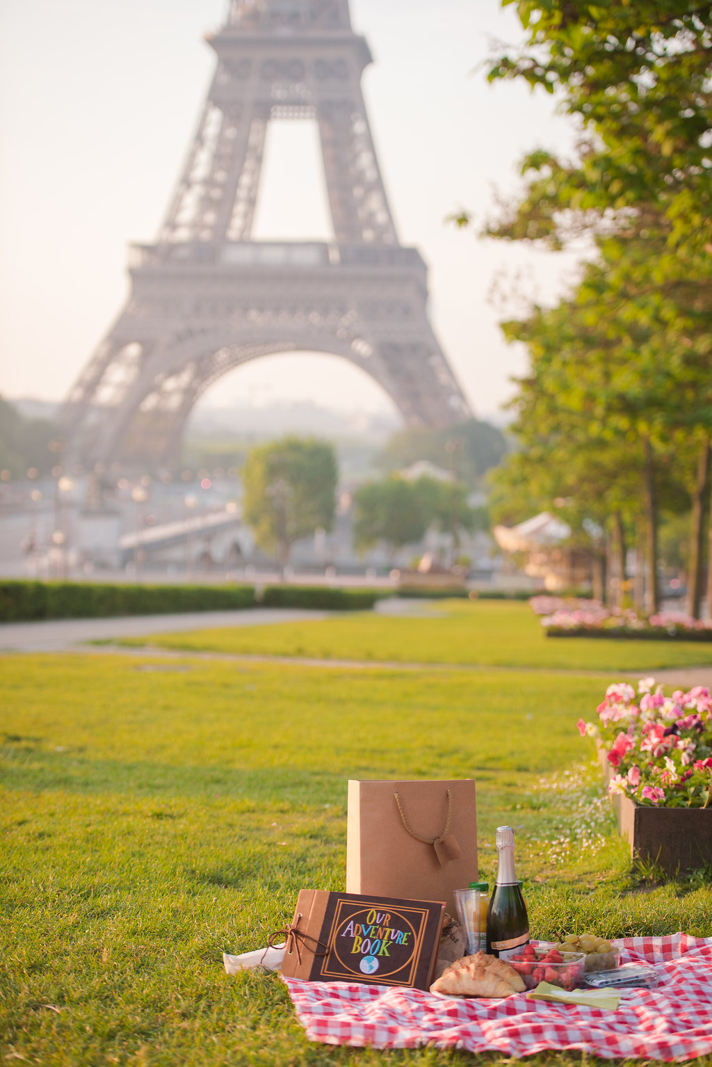 Sunrise Trocadero Proposal & Picnic! - Pictours™ Paris Photography