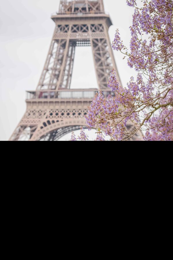 Pictours Paris LGBT-6