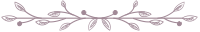 branch-divider-line branch-divider-line